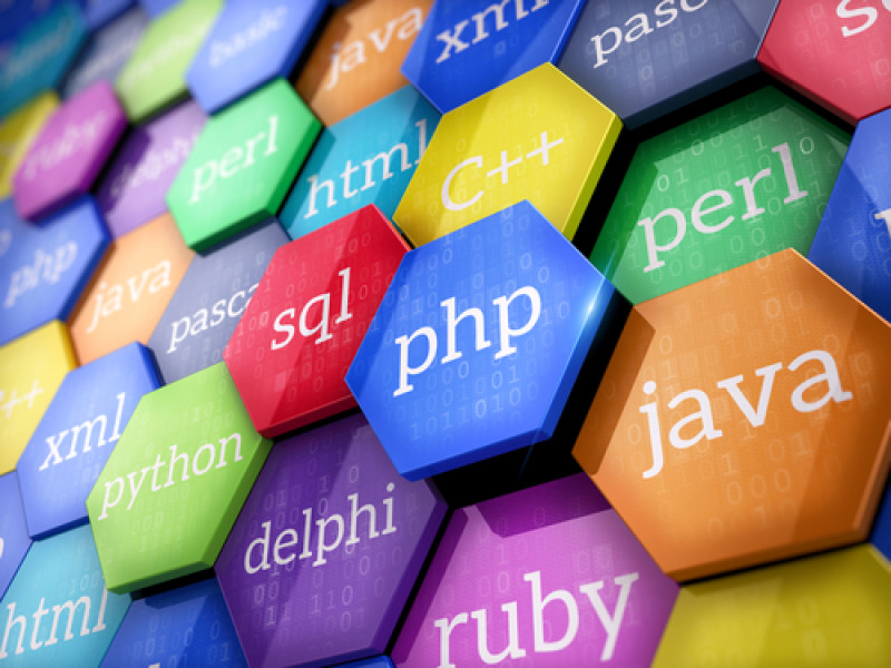 RoboGarden | Programming languages in the highest demand